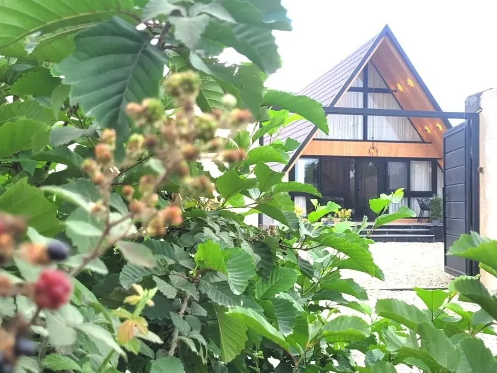 اجاره کلبه سوئیسی لوکس سی سرا متل قو